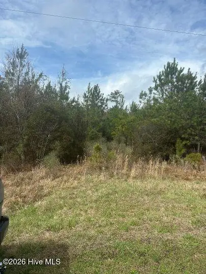 0 Voa Site B Road, Grimesland, NC 27837