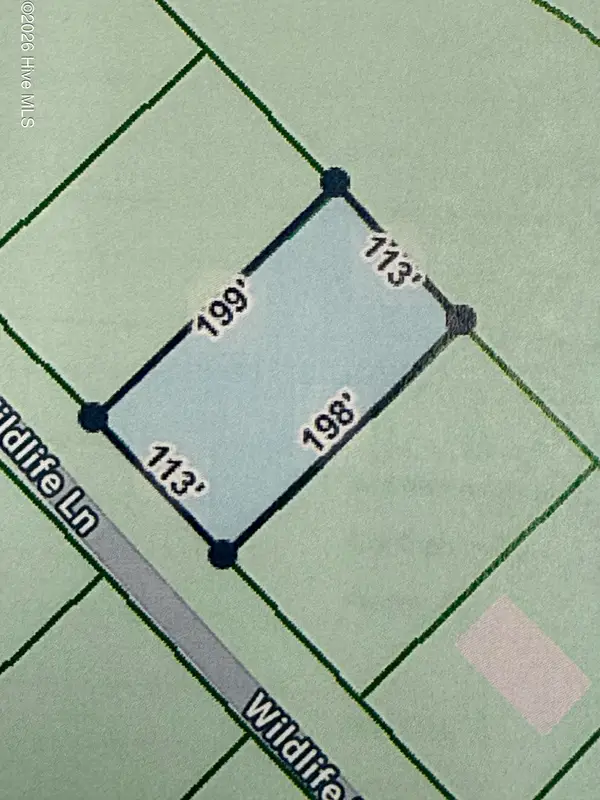 10 Wildlife Lane, Wagram, NC 28396