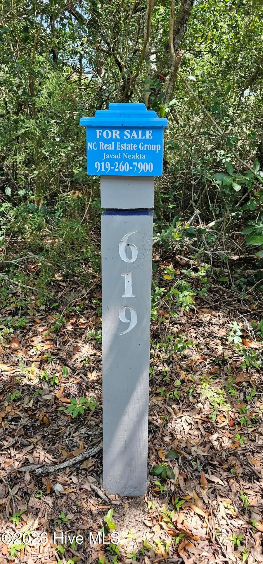 619 Wash Woods Way, Bald Head Island, NC 28461 - #3