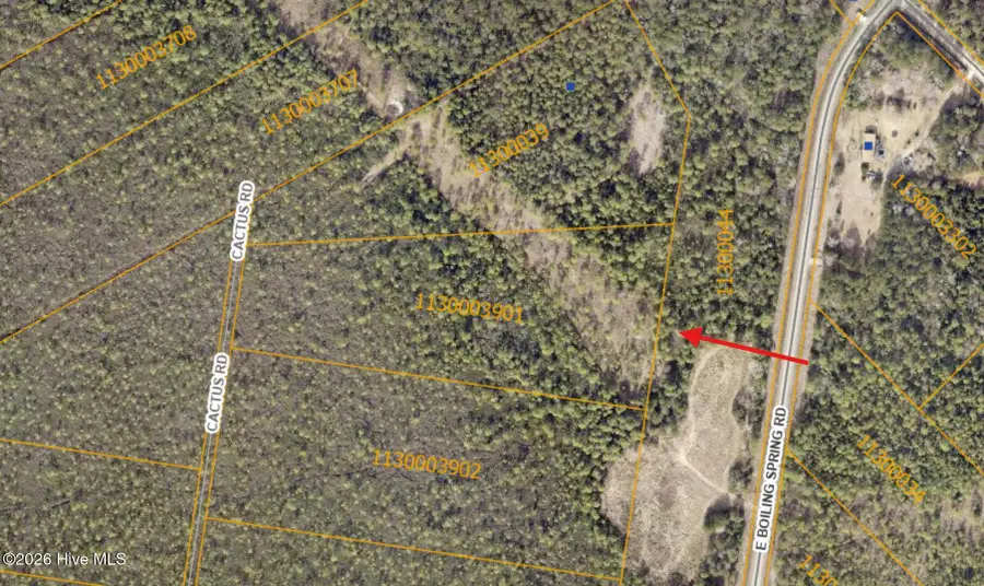 Tr-48 Cactus Road, Boiling Spring Lakes, NC 28461 - #3