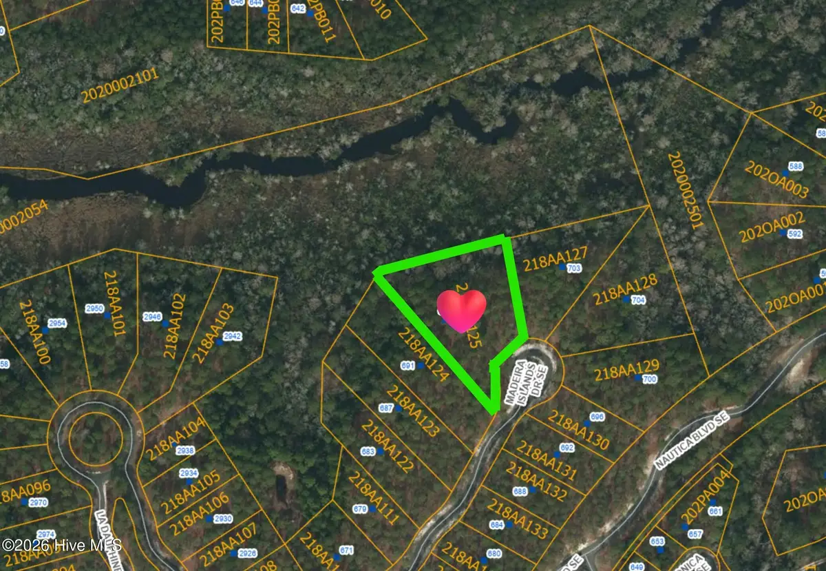 695 Madeira Islands Drive Se, Bolivia, NC 28422 - #1