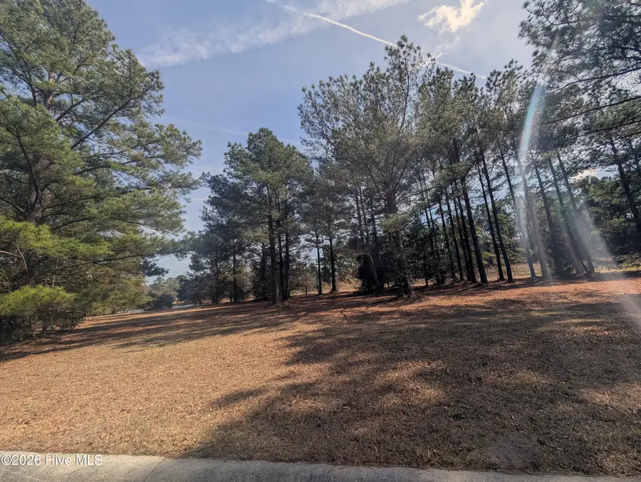 117 Cedar Point Drive, Wallace, NC 28466 - #3