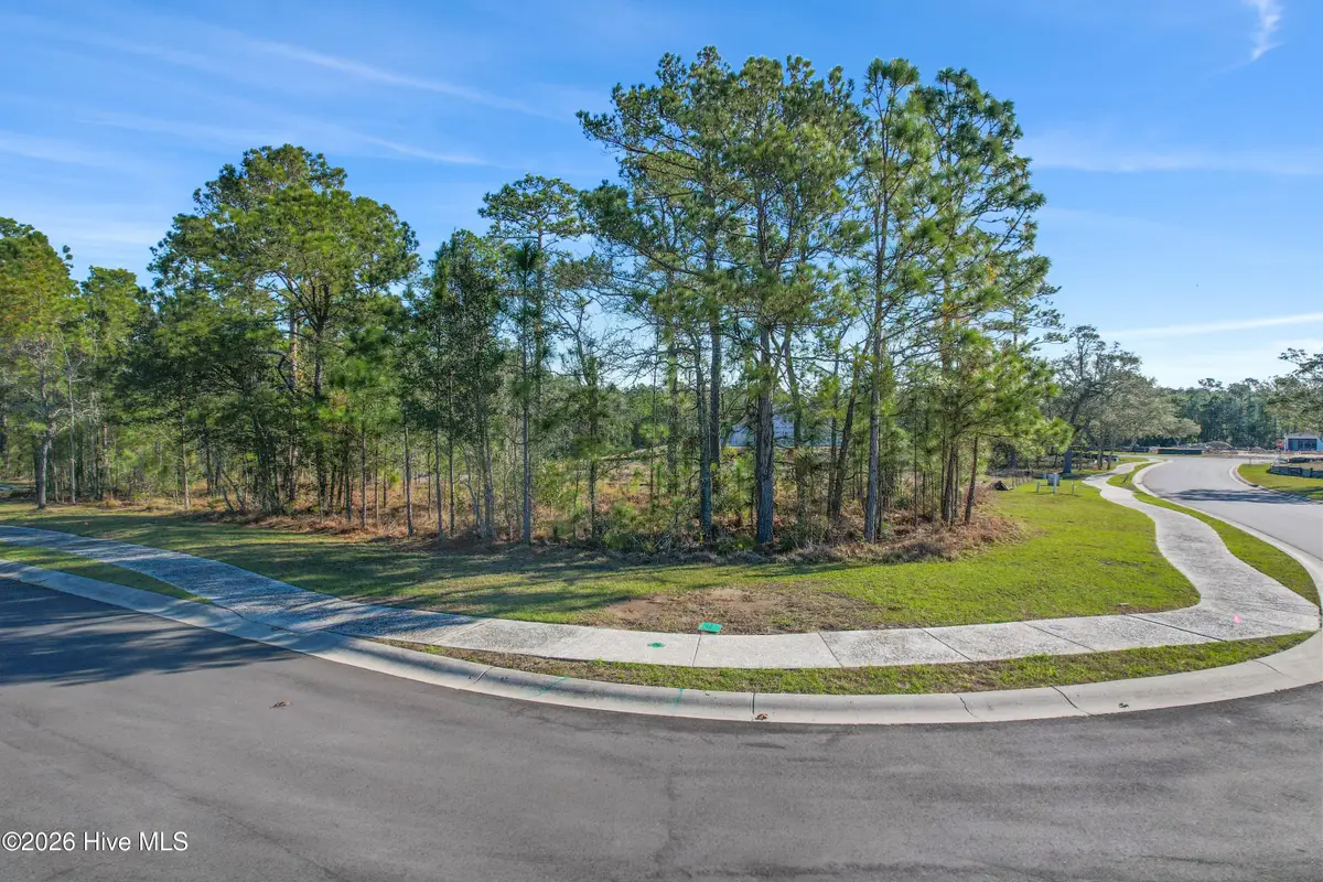 3398 Discovery Bay Road, Shallotte, NC 28470 - #1