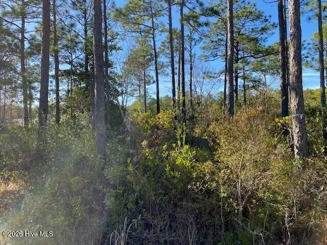 Lot 79 Sunset Drive, Boiling Spring Lakes, NC 28461 - #2