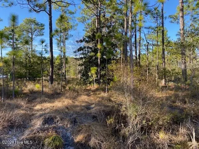 Lot 79 Sunset Drive, Boiling Spring Lakes, NC 28461 - #3