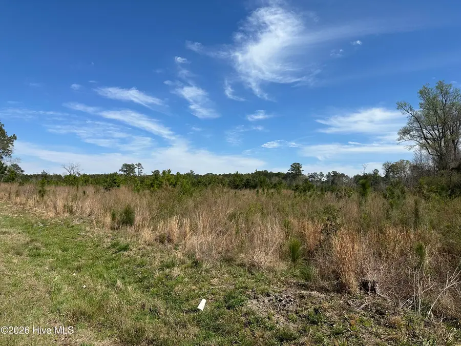 Tbd Old Wire Road, Laurel Hill, NC 28351 - #3