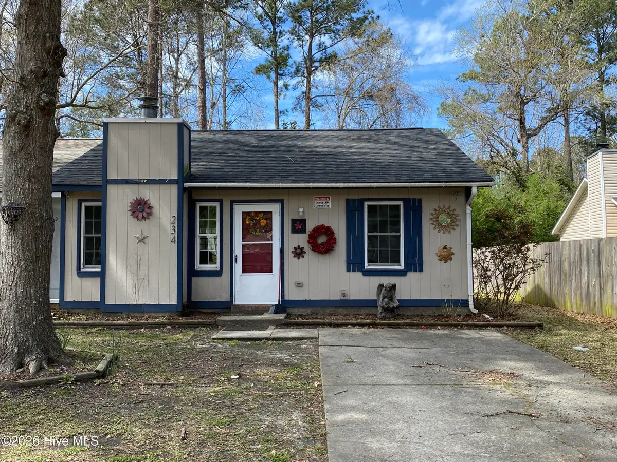 234 Cedar Creek Drive, Jacksonville, NC 28540 - #1