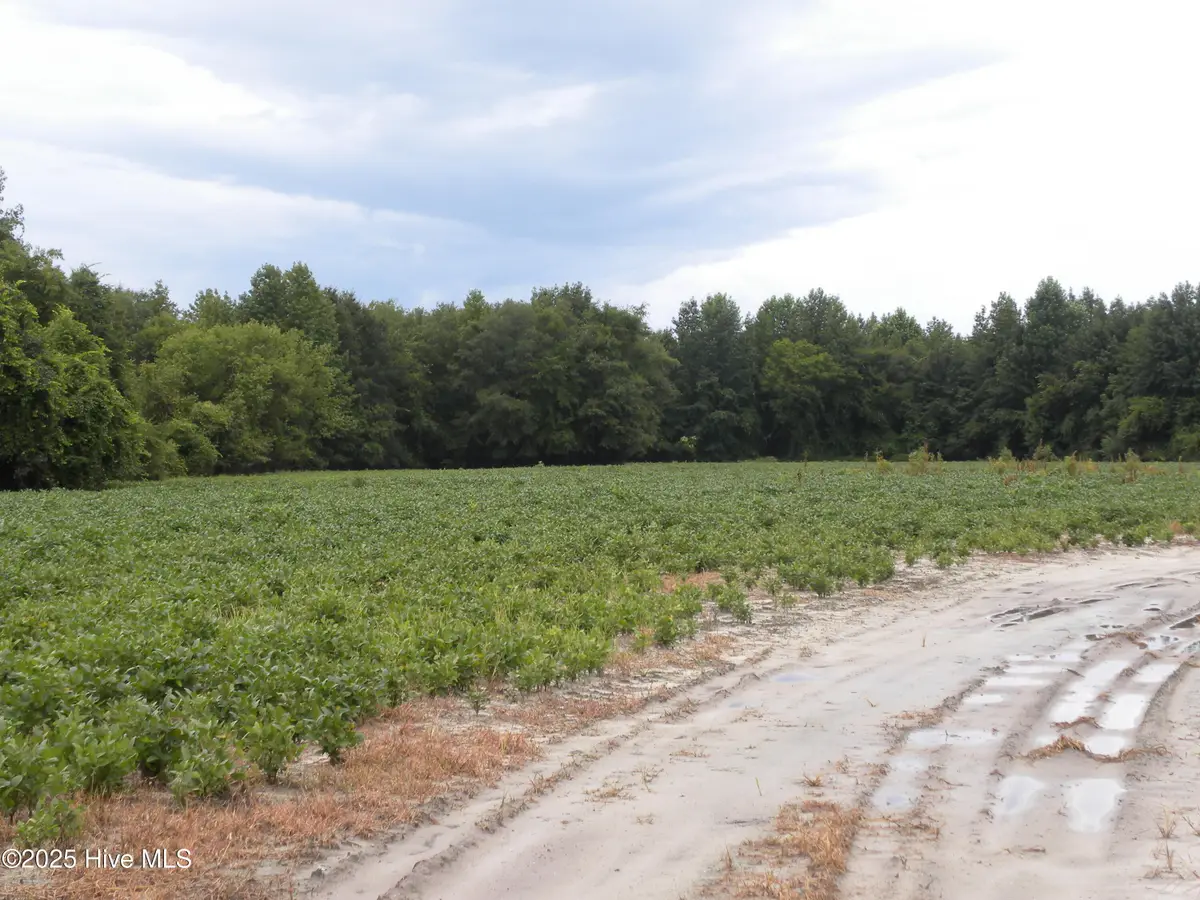 Tbd Conetoe Road, Greenville, NC 27834 - #1