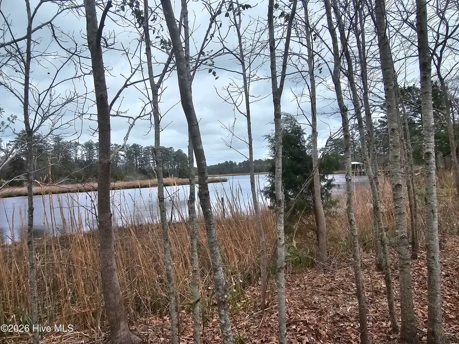 251 Alligator Loop Road, Merritt, NC 28556 - #3