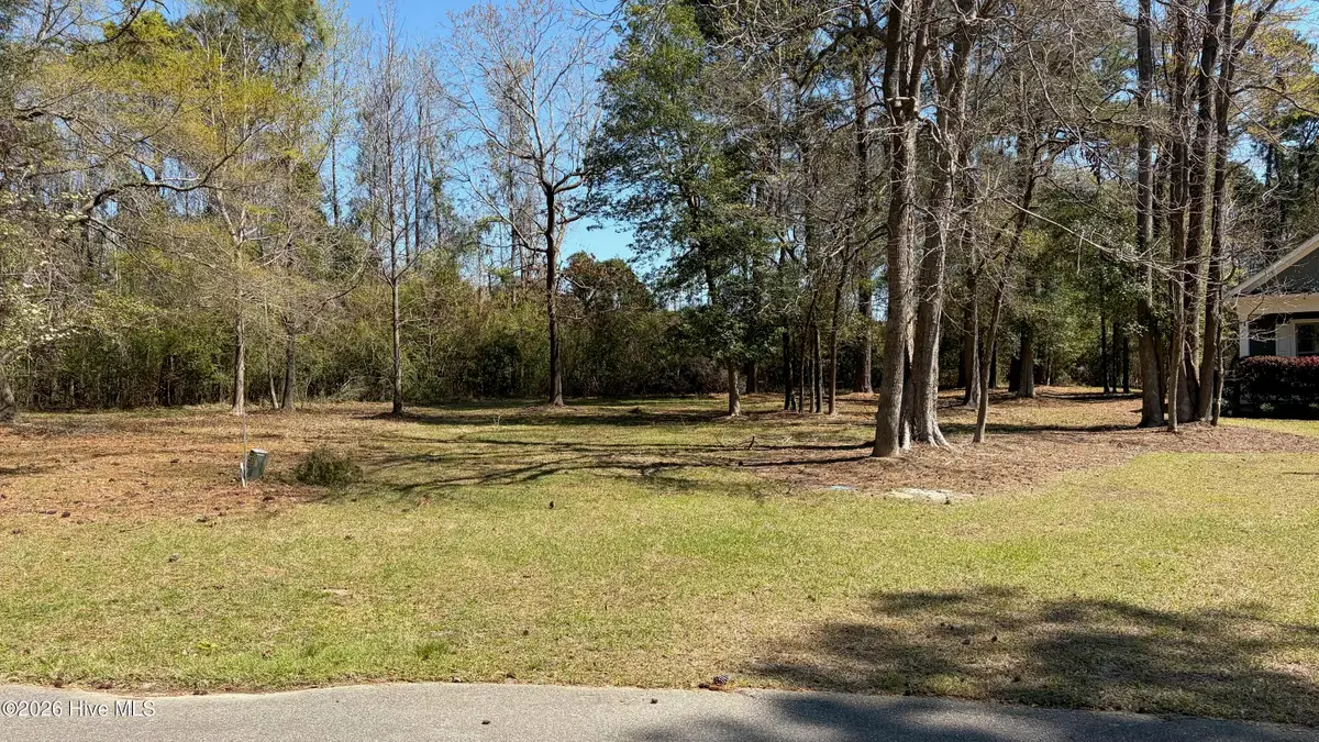 429 Burgee Court, Castle Hayne, NC 28429 - #1