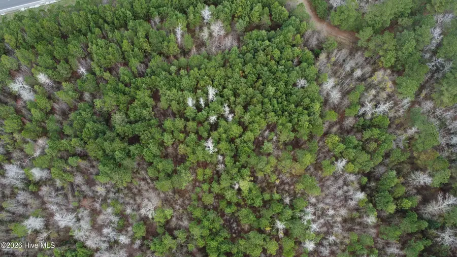 19115 Andrew Jackson Highway E, Bolton, NC 28423 - #3