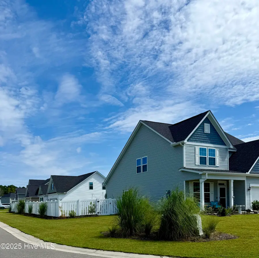 254 E Red Head Circle, Sneads Ferry, NC 28460 - #3