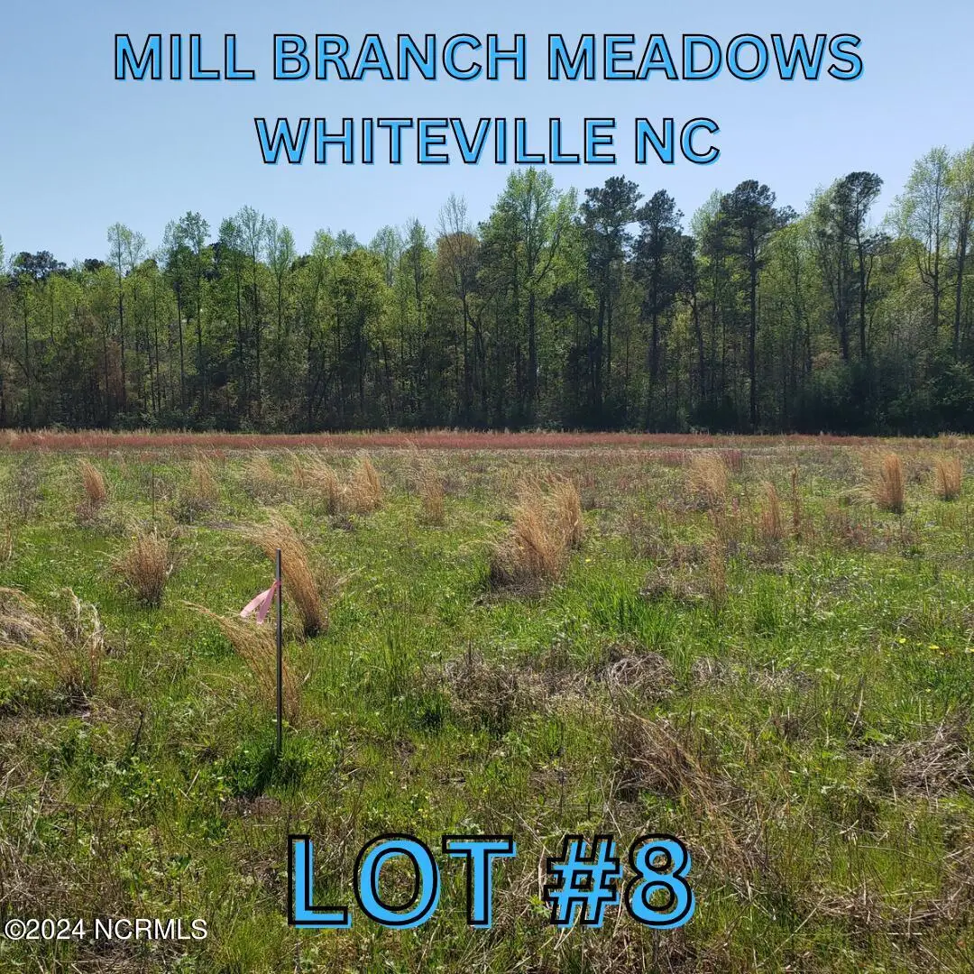 97 Mill Branch Drive, Whiteville, NC 28472 - #1
