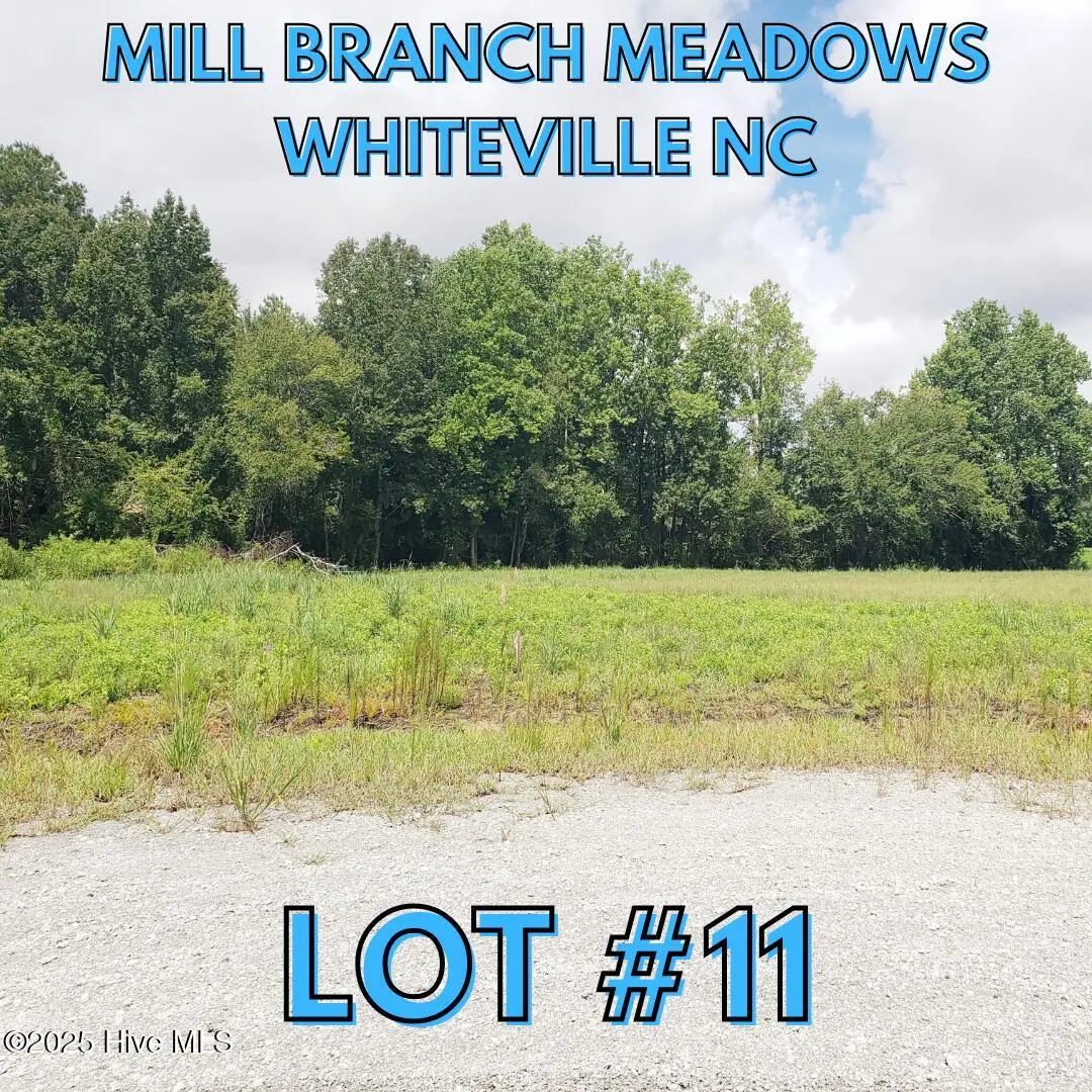 112 Mill Branch Drive, Whiteville, NC 28472 - #1
