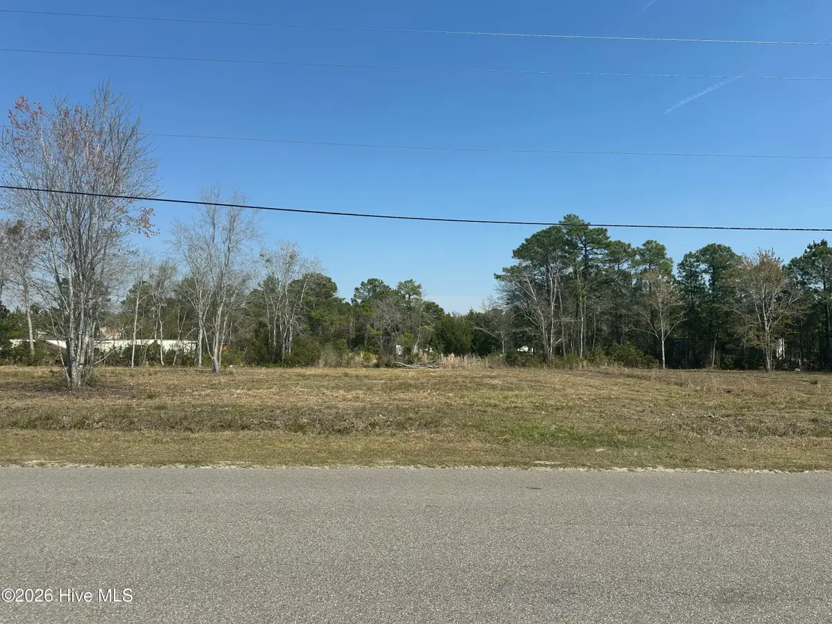 131 Edens Lane, Hampstead, NC 28443 - #1