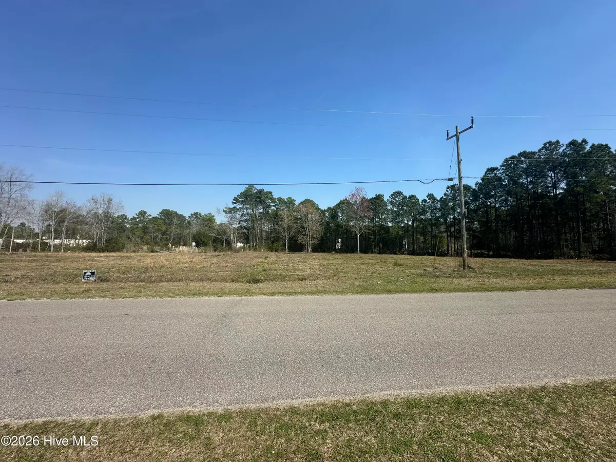 155 Edens Lane, Hampstead, NC 28443 - #1