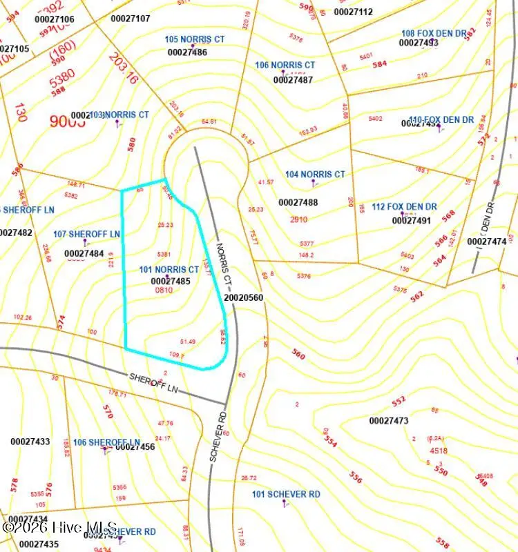 101 Norris Court, Seven Lakes, NC 27376 - #2