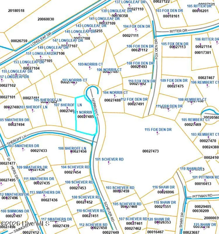 101 Norris Court, Seven Lakes, NC 27376 - #3