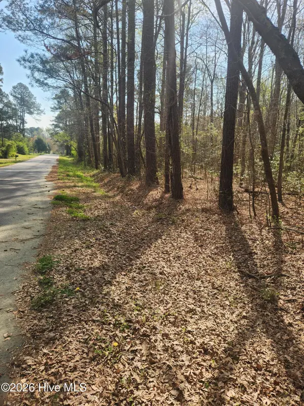 Lot 27 Peed Road, Chocowinity, NC 27817