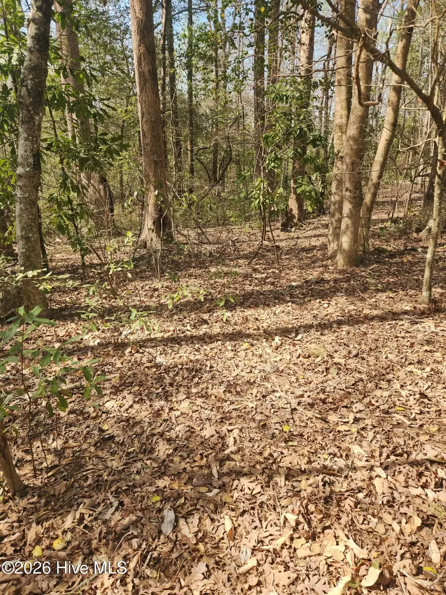 Lot 27 Peed Road, Chocowinity, NC 27817 - #3