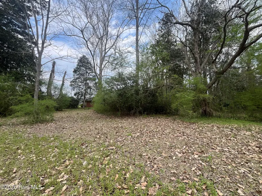 720 Main Street, Bayboro, NC 28515 - #2