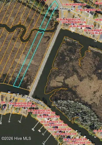 Lot 40-40a Whichards Beach Road, Chocowinity, NC 27817 - #1