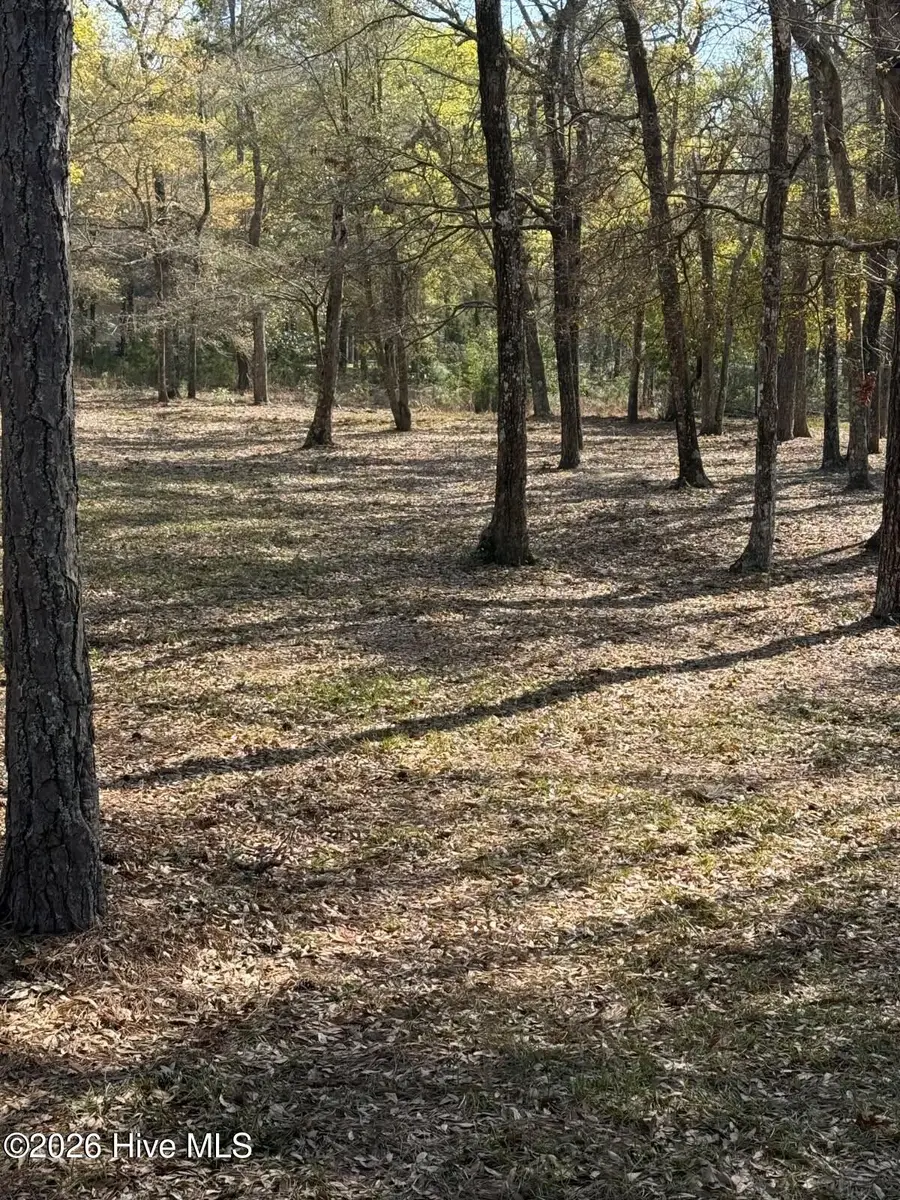 2168 Clambake Court Sw, Supply, NC 28462 - #2