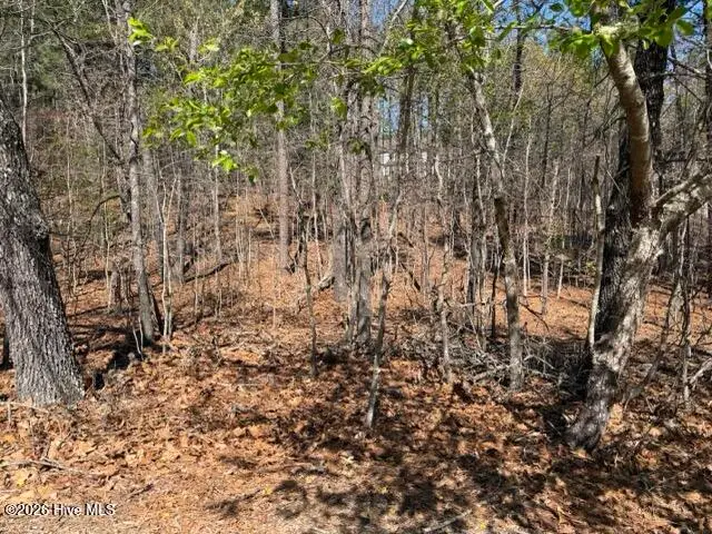 172 James Drive, Seven Lakes, NC 27376 - #2