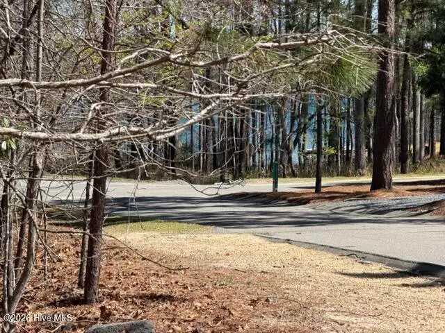 172 James Drive, Seven Lakes, NC 27376 - #3