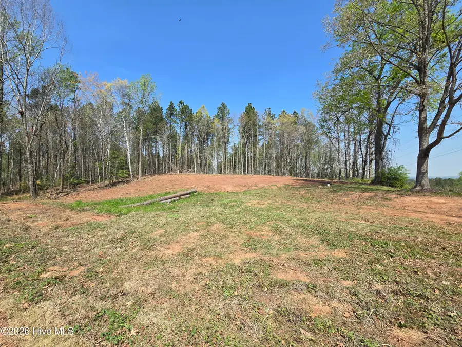 3123 Everett Chappell Road, Ellerbe, NC 28338 - #2