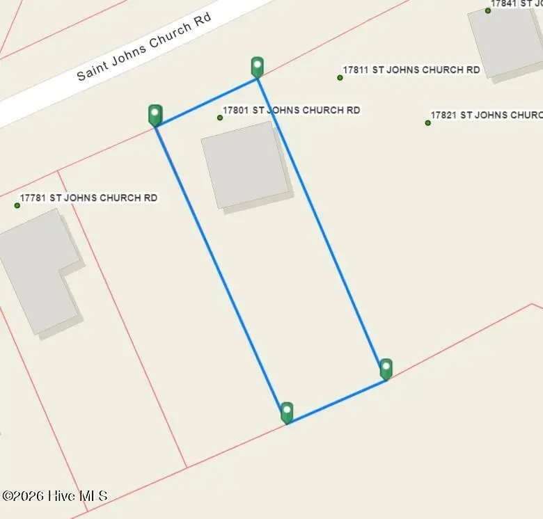 17801 Saint Johns Church Road, Laurel Hill, NC 28351 - #1