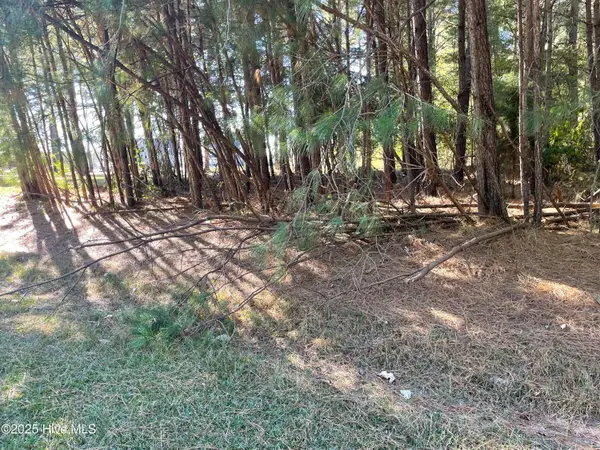 Lot 10 Bethel Creek Lane, Hertford, NC 27944