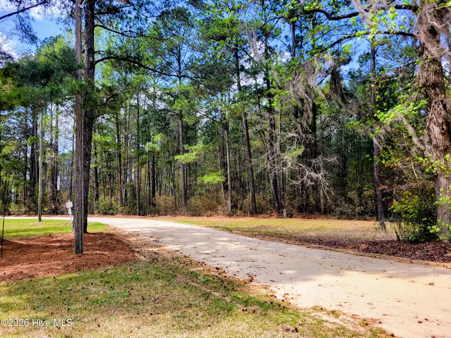 74 Woodlief Drive, White Lake, NC 28337 - #2