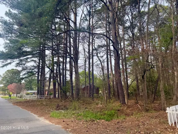 307 Viverette Avenue, Battleboro, NC 27809