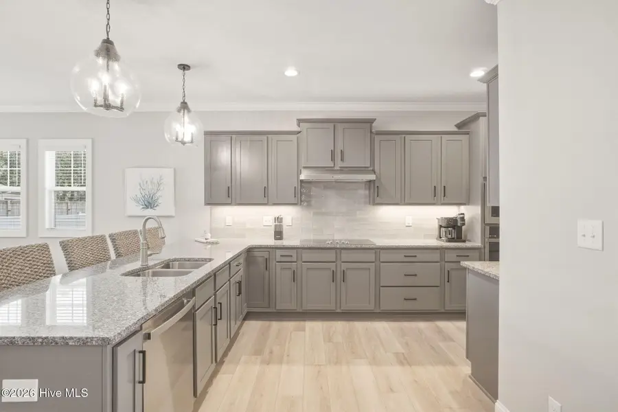 508 E Great Egret Way, Beaufort, NC 28516 - #3