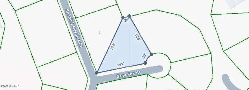 2 Gray Fox Court, Bald Head Island, NC 28461 - #2