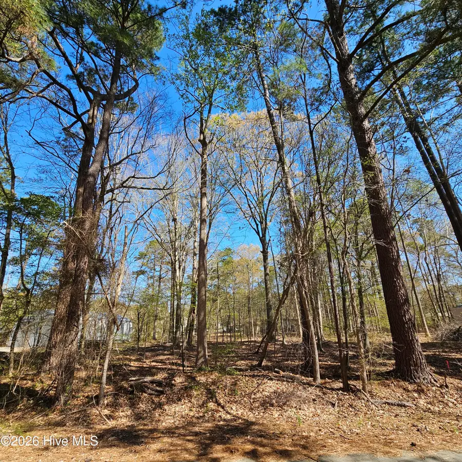 Lot 77 Pirate Cove Way, Hertford, NC 27944 - #2