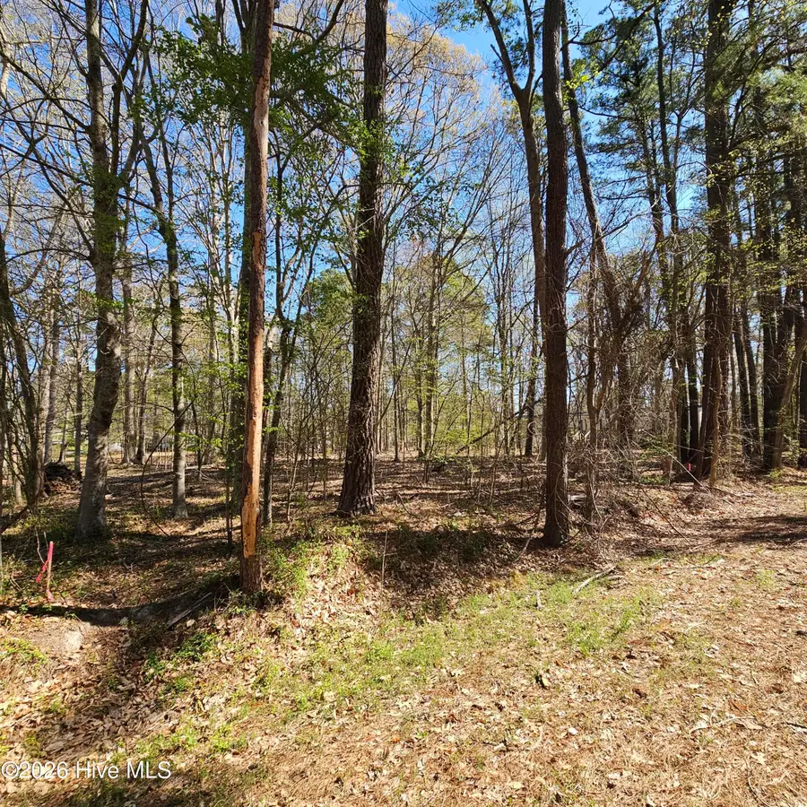 Lot 77 Pirate Cove Way, Hertford, NC 27944 - #3