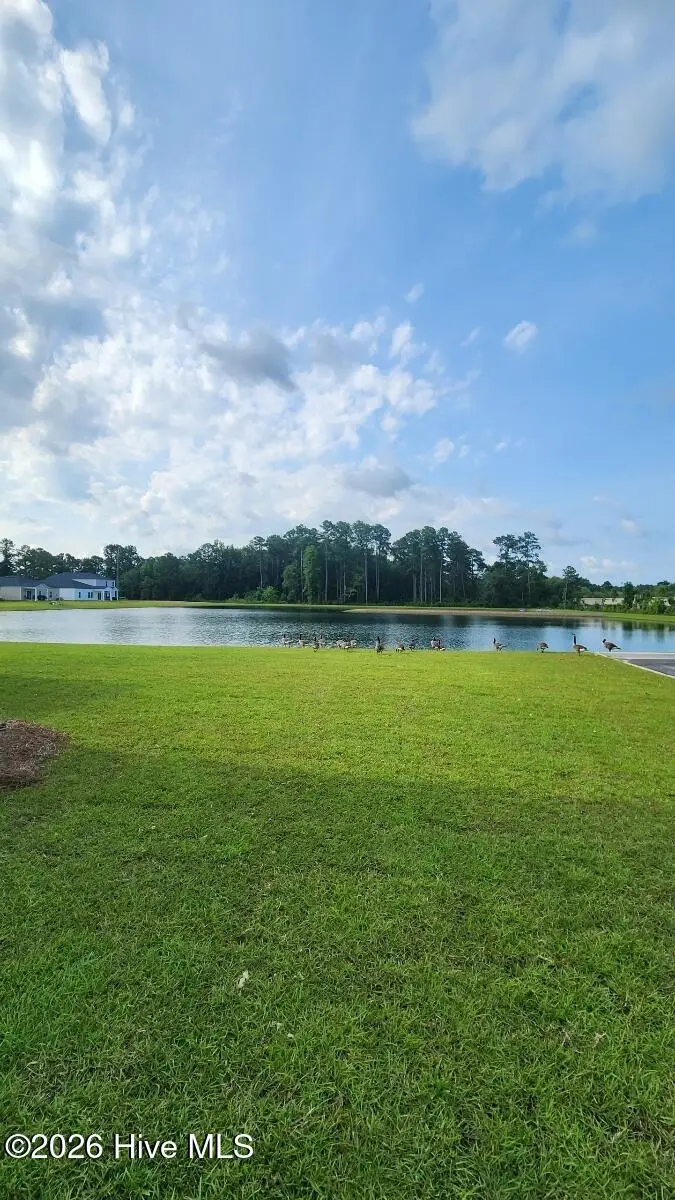 1023 Sawfish Drive Nw #99, Sunset Beach, NC 28468 - #3
