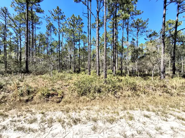 Lot 550 Crescent Road, Boiling Spring Lakes, NC 28461