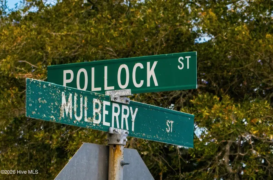 Lot 9867 Pollock Street, Beaufort, NC 28516 - #2