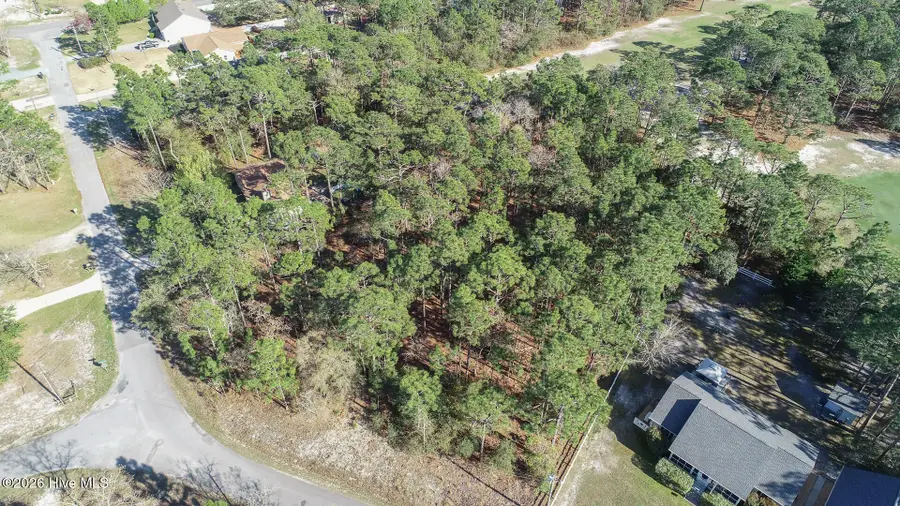 1156 Twin Lakes Drive, Boiling Spring Lakes, NC 28461 - #2