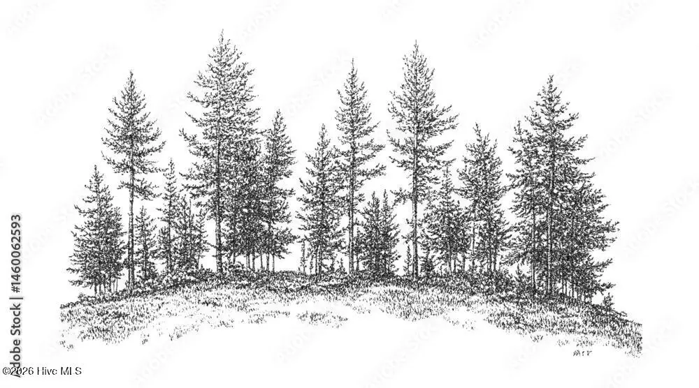 0 Longview Drive E, Wilson, NC 27893 - #1