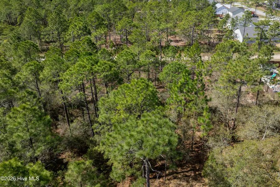 L 12 Rockingham Road, Boiling Spring Lakes, NC 28461 - #2