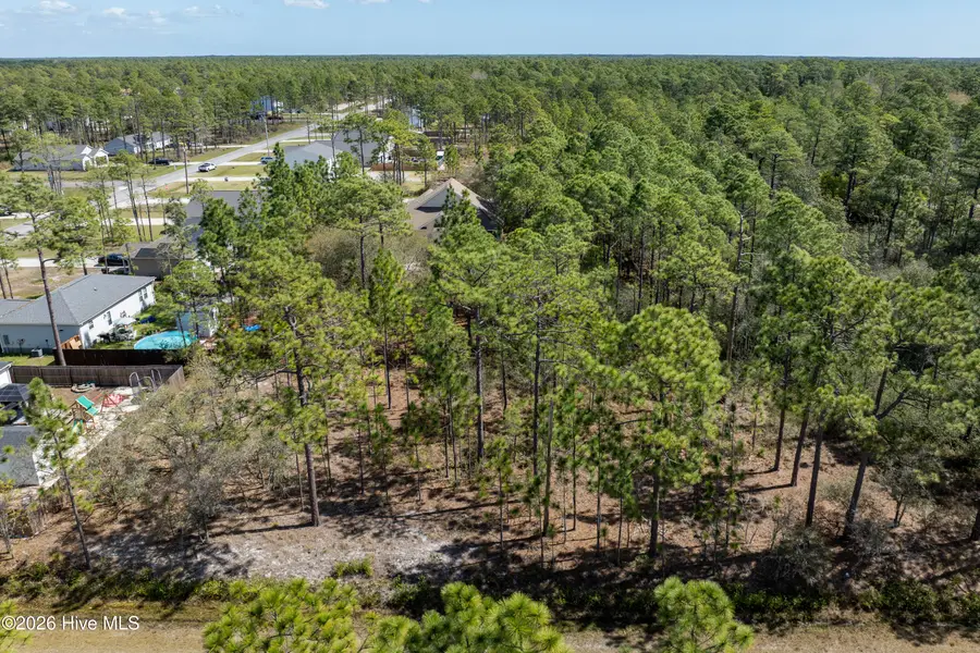 L 12 Rockingham Road, Boiling Spring Lakes, NC 28461 - #3