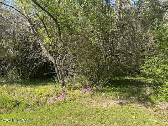 408 Mill Quarters Road, Hallsboro, NC 28442 - #1