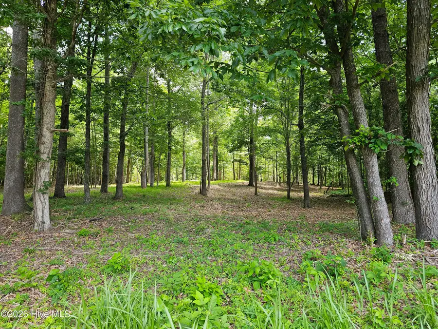 Lot 58 See View Lane, Hertford, NC 27944 - #2