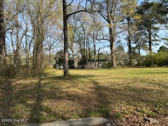 Tbd Hill Street, Ahoskie, NC 27910 - #3