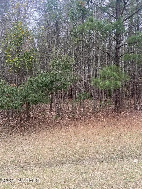 Lot 88 Johnson Drive, Hertford, NC 27944
