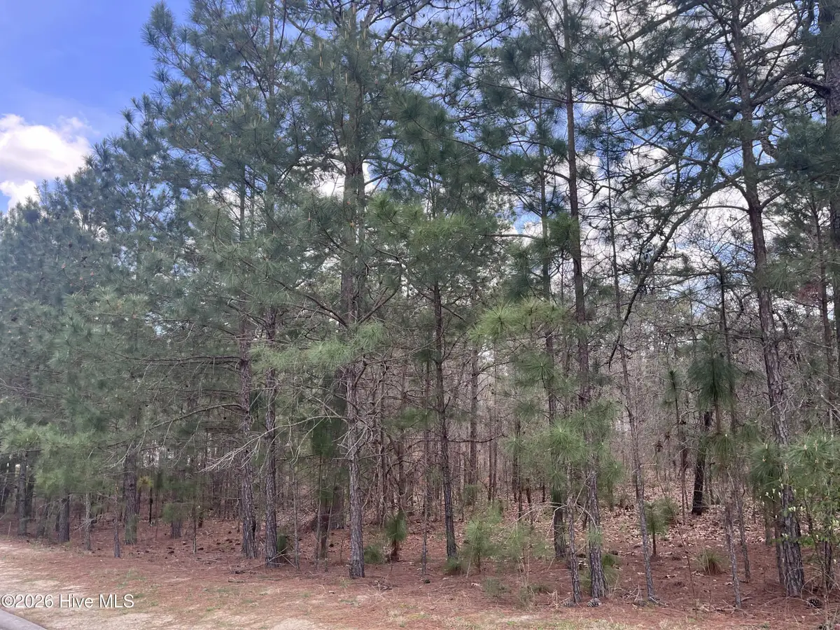 29 Ridgeland Street, Pinehurst, NC 28374 - #1